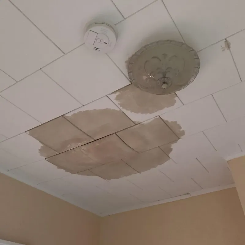 Ceiling Water Damage Repair in Mercer County, ND