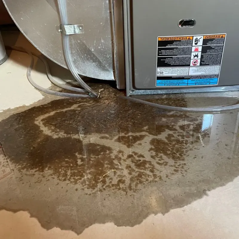 Pipe Burst and Leak Restoration in Mercer County, ND