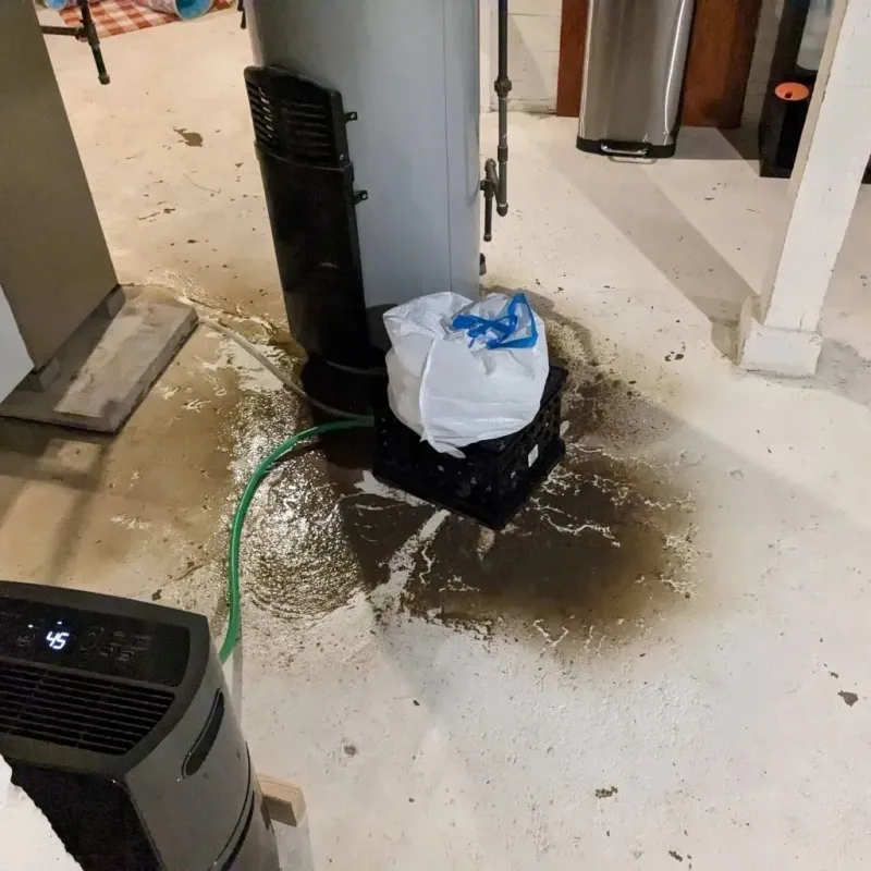 Sewage Backup Cleanup Service in Mercer County, ND